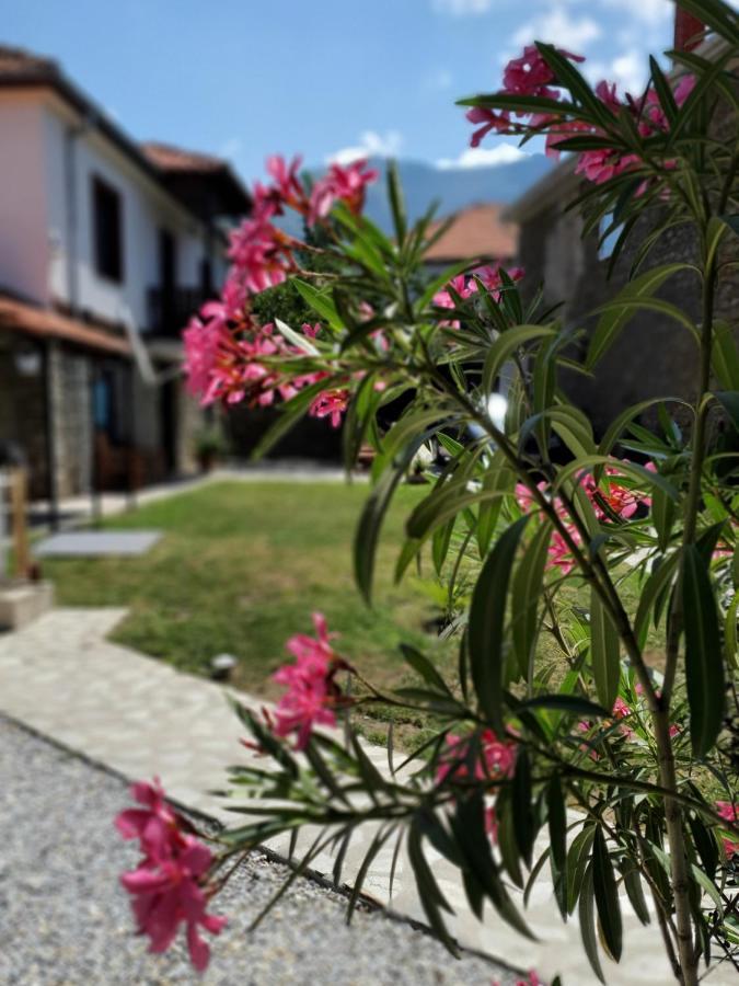 Villa Prespa Dolno Dupeni Екстер'єр фото
